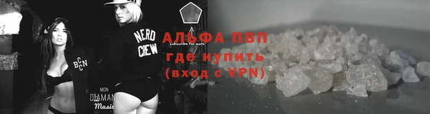 гашик Абаза