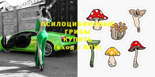 гашик Абаза