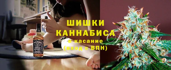 ALPHA-PVP Новозыбков
