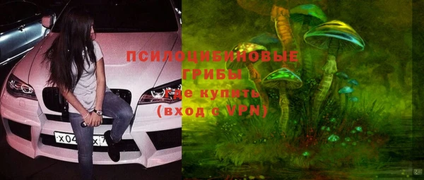 гашик Абаза